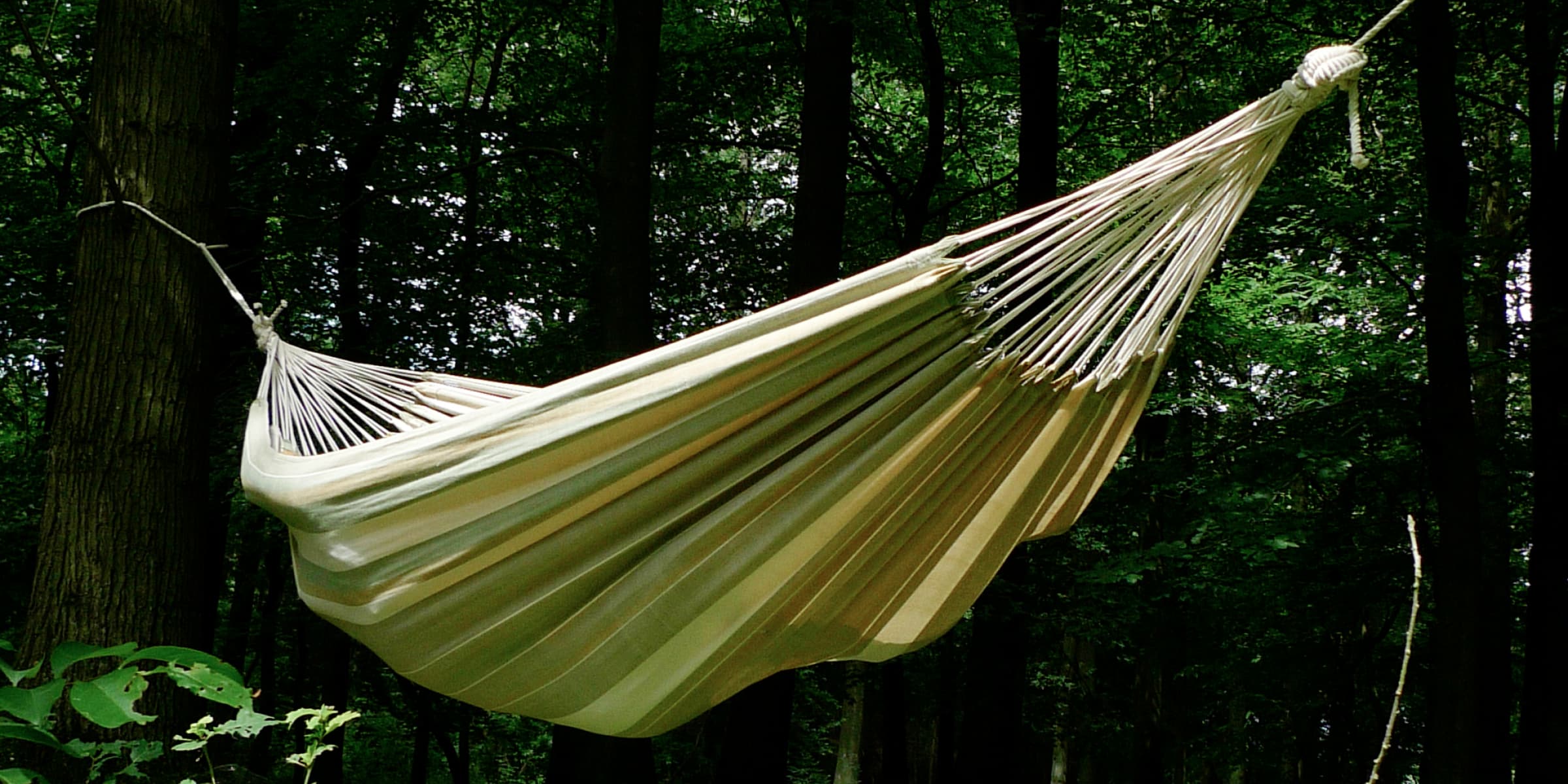 brazilian hammock