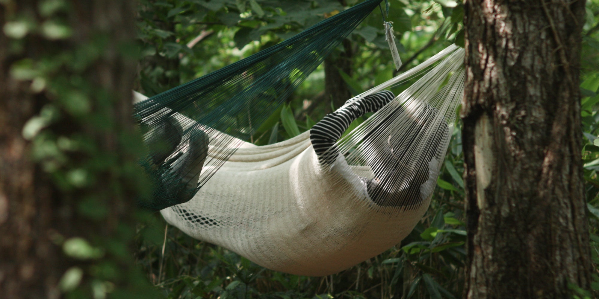 hammocks – Hammock2000